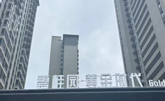 碧桂園黃金時代陽臺連廊護(hù)欄百葉窗柵欄樓梯扶手案例